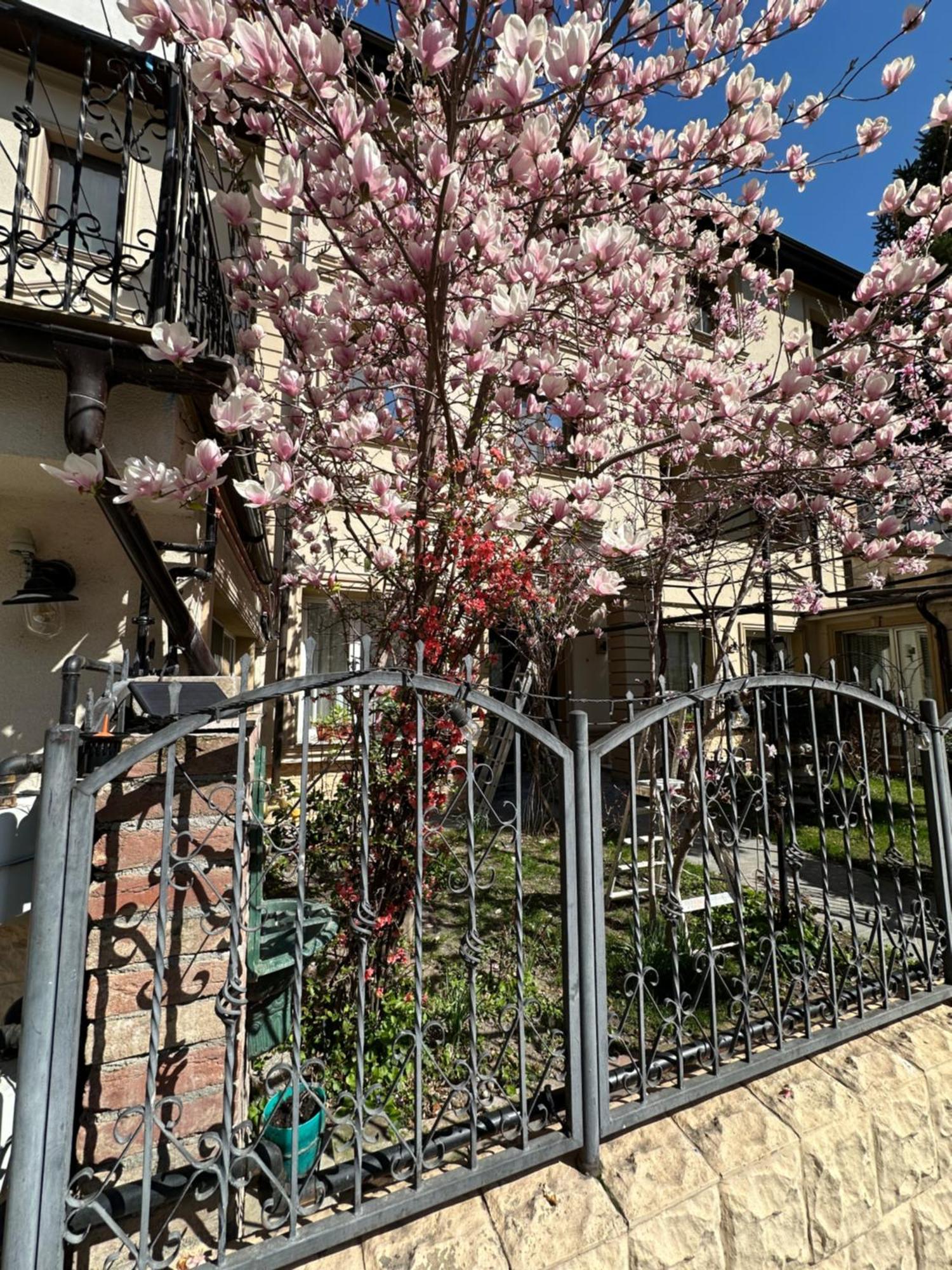 酒店 Boutique Cathedral Plaza Residences For Rent Downtown