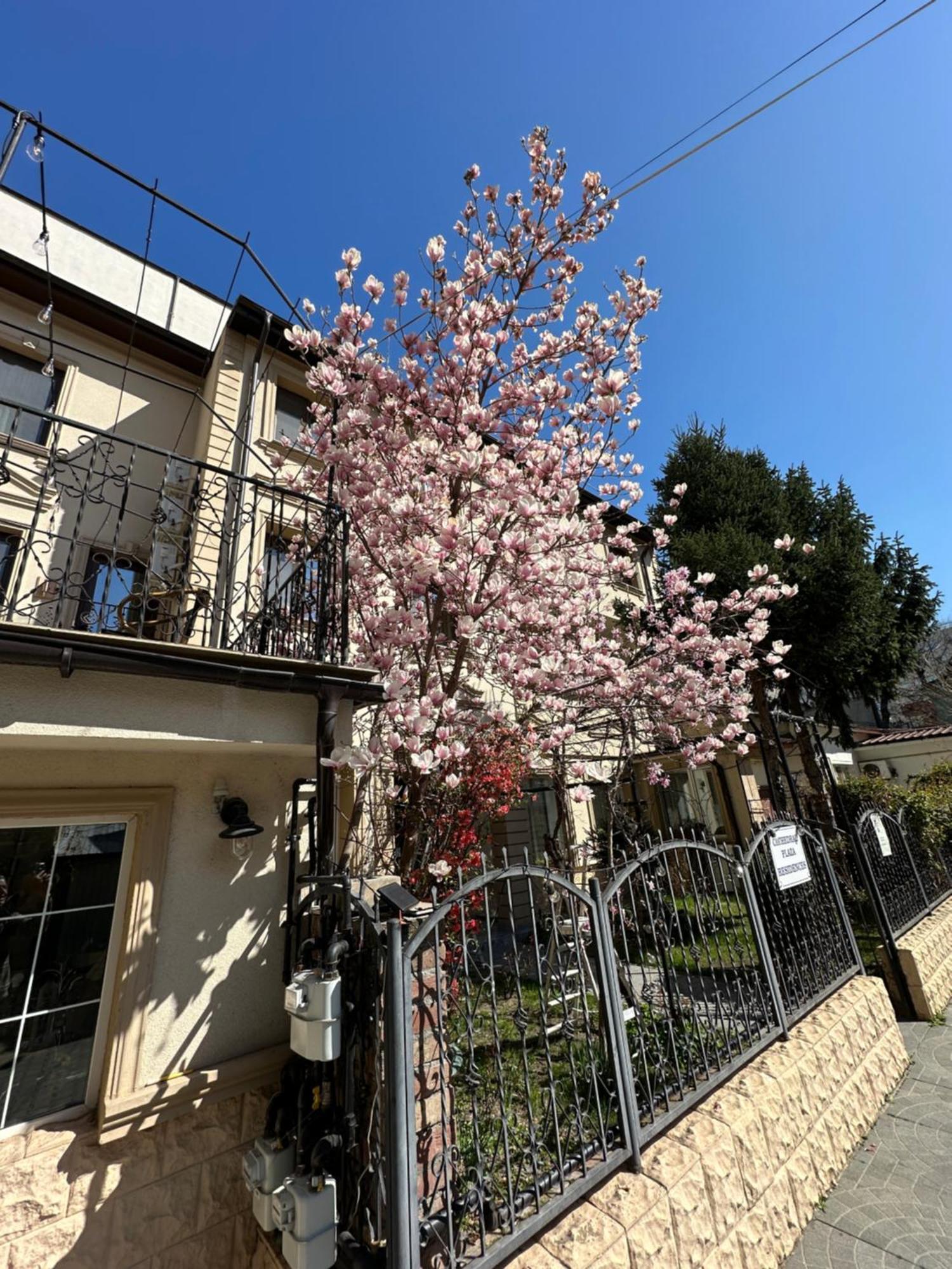 酒店 Boutique Cathedral Plaza Residences For Rent Downtown 布加勒斯特